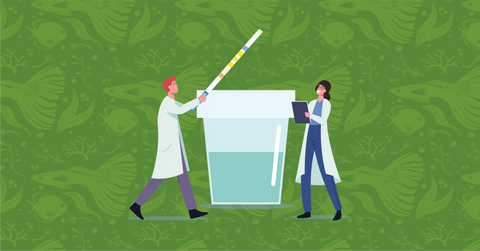 Methods for Measuring pH in Aquariums