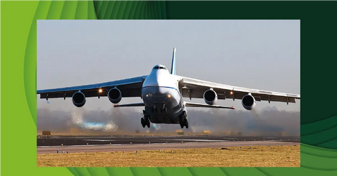 Shrimp That Don’t Show Up: What’s Really Happening to Aquarium Livestock Imports in 2026