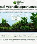 Anubias Mix Set – 3 Plants aquarium plant
