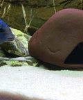 Cichlid Stone Medium AD-12 aquarium decoration