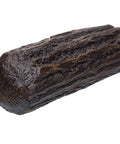 D-shape Cave Natural size L aquarium decoration