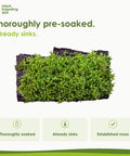 Pre-soaked bark with established moss – already sinks