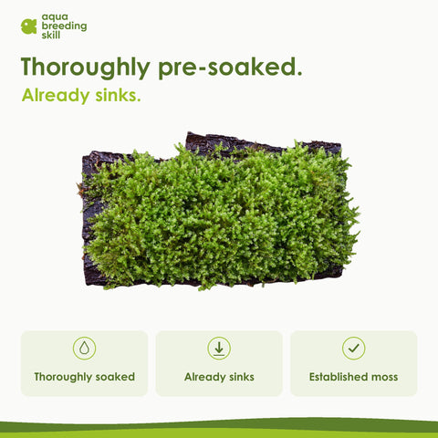 Pre-soaked bark with established moss – already sinks